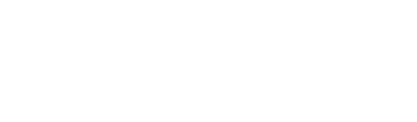 The Virginia Department of Behavioral Health and Developmental Services
