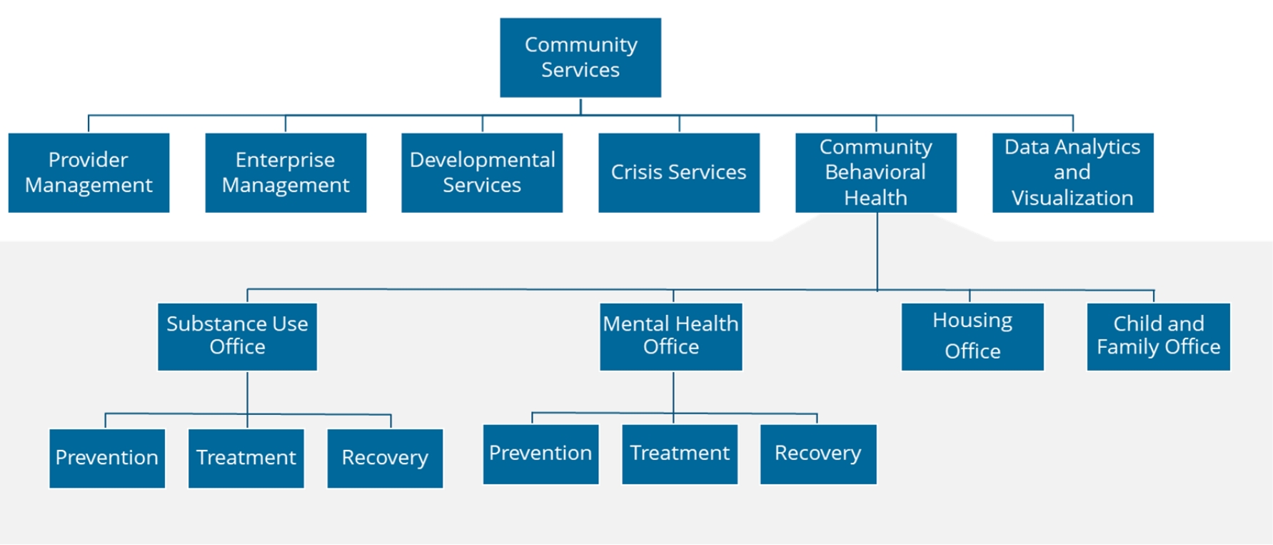 Community Services Org Chart
