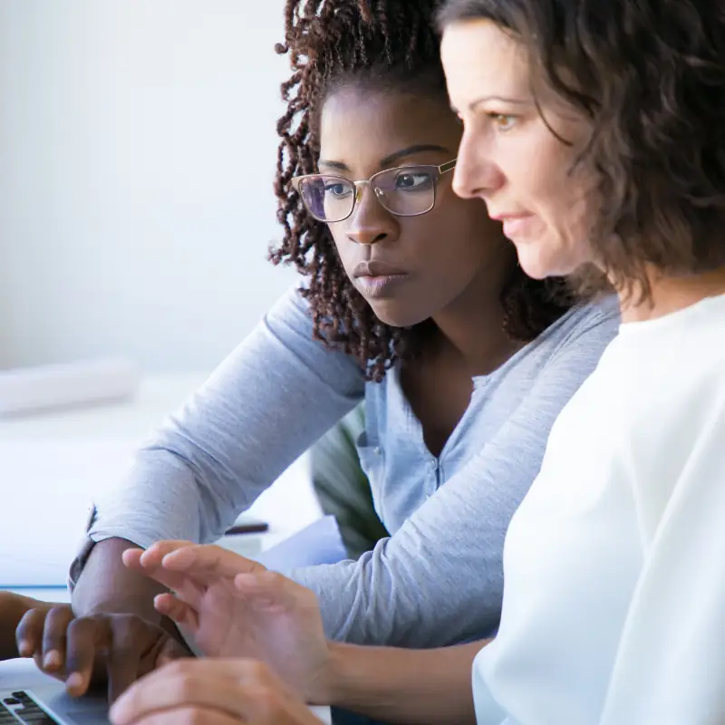 Specialists working in computer